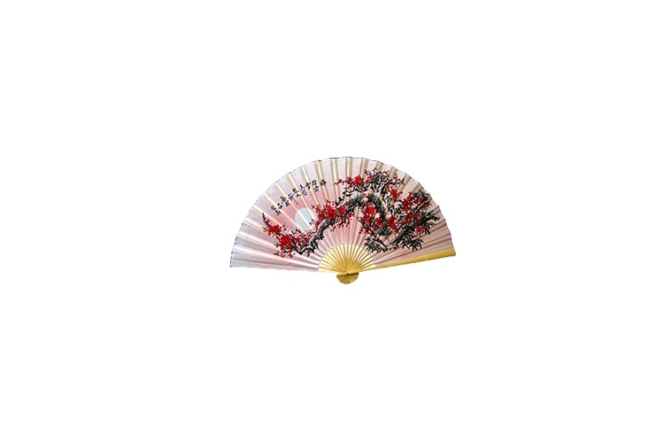 扇子 扇形 古风 折扇 用品 高清素材